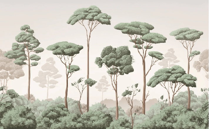 Light Breeze Pine Forest Wallpaper