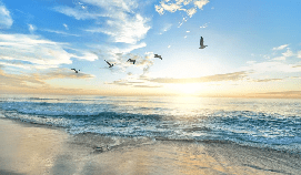 Paradise Beach wallpaper