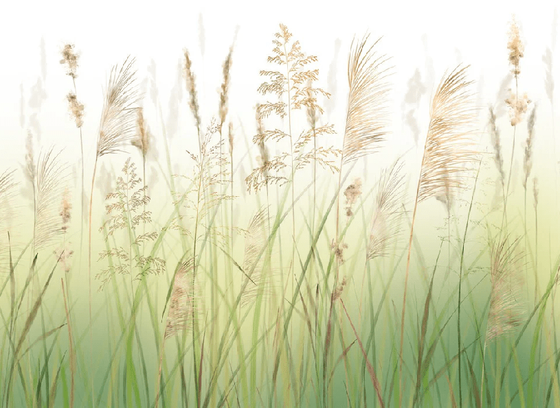Wheat field flower wallpaper with gradient effect