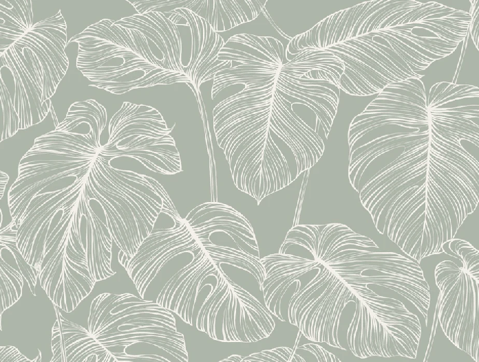 Monstera sage leaf wallpaper