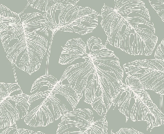 Papier peint feuille monstera sauge