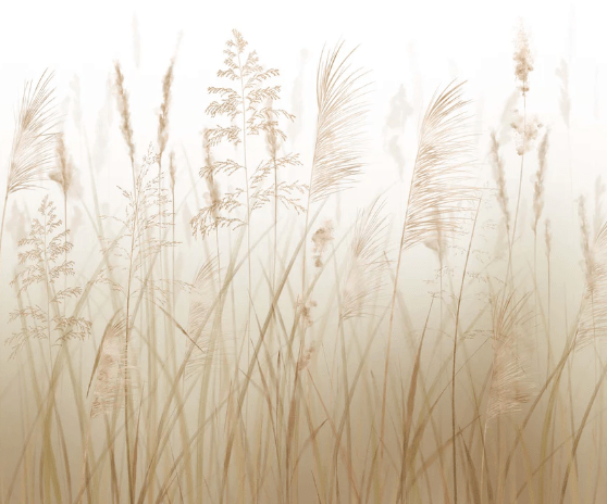 Wheat field flower wallpaper