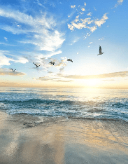 Paradise Beach Wallpaper