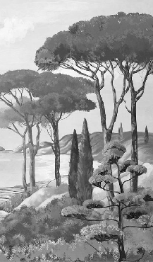 Black and white wallpaper featuring a stroll through the calanques