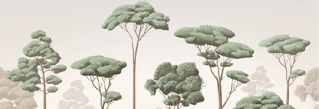 Light Breeze Pine Forest Wallpaper