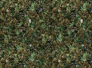 Panoramic trompe l'oeil wallpaper with a plant wall design