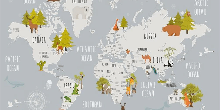 Light gray animal map children's bedroom wallpaper