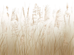 Wheat field flower wallpaper