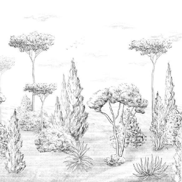 Ancient forest panoramic wallpaper