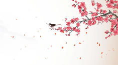 Papier peint harmonie zen sakura