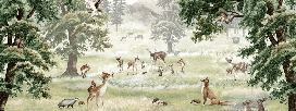 Papier peint enfant animaux et compagnie - Muralconcept