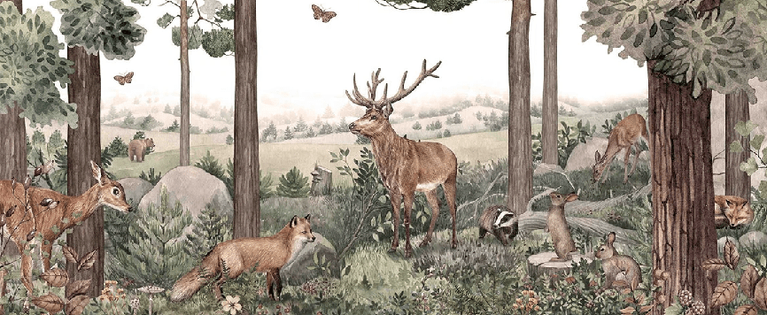 Papier peint bébé sentier sauvage