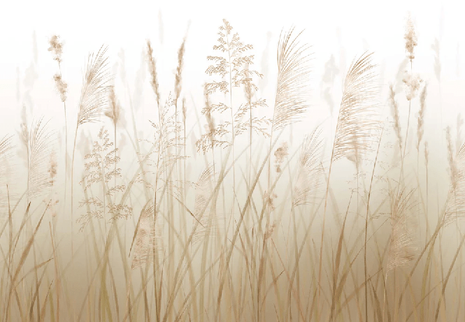 Wheat field flower wallpaper