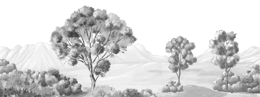 Papier peint paysage poétique noir et blanc, XXL, tendance