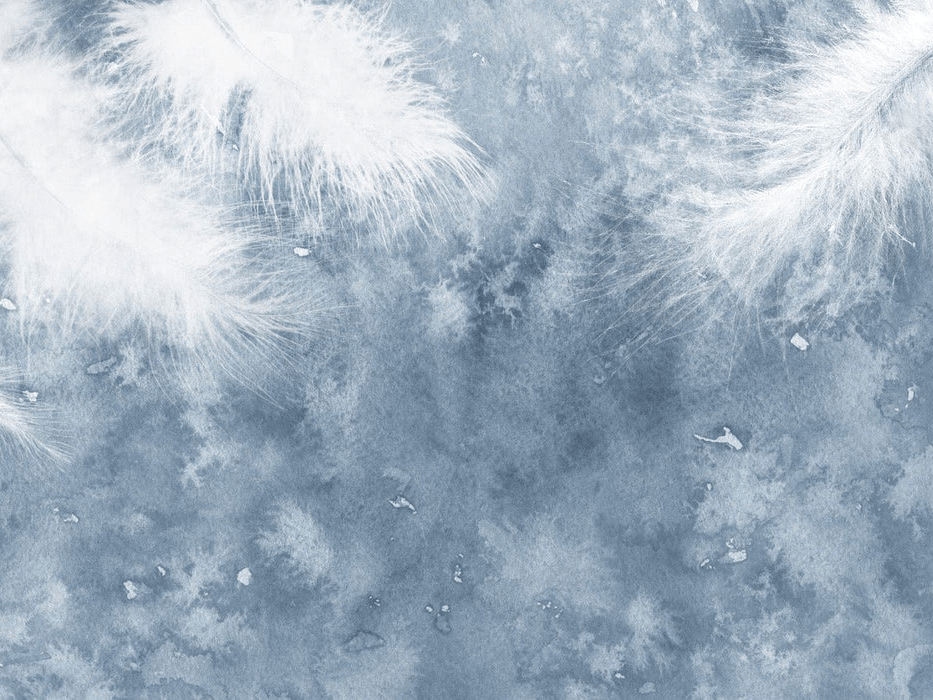 Plume Blanche wallpaper