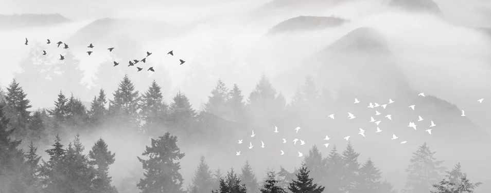 Mystical Mountain Mist Wallpaper