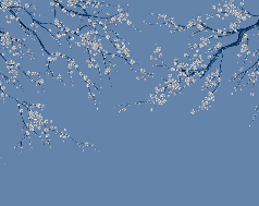 Panoramic wallpaper with blue Sakura flowers