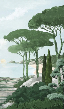 Papier peint balade dans les calanques vert