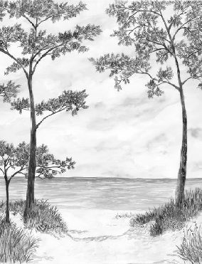 Maritime pines and dunes wallpaper - Black and white