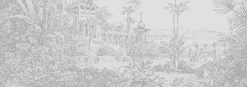 Papier peint jungle temple monochrome - Muralconcept