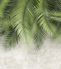 Palm leaf and cement wall wallpaper
