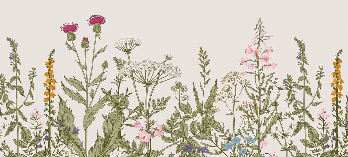 Romantic folk botanical flower wallpaper, XXL, tendance