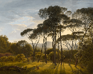 Wallpaper for hallway featuring historic Italian landscape