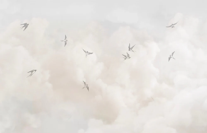 Panoramic wallpaper - Timeless sky - Muralconcept