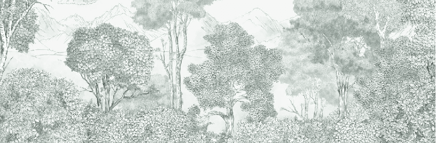 Panorama-Tapete Wälder und Berge grün - Muralconcept