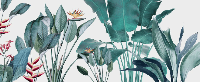 Tropical banana tree panoramic wallpaper