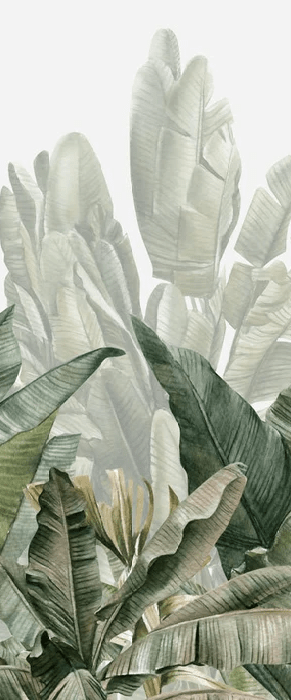 Green banana tree panoramic wallpaper