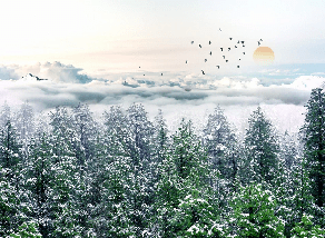Panoramic non-woven wallpaper with snow-covered pine forest