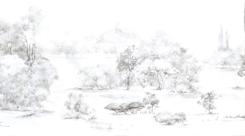 Papier peint forêt de pin aquarelle