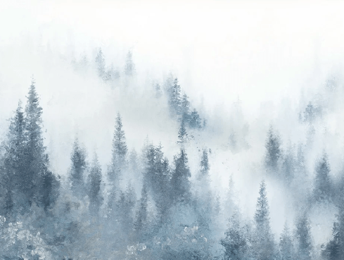 Watercolor blue mist fir tree restaurant wallpaper