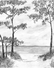 Seaside Pines and Dunes Wallpaper - Black and White