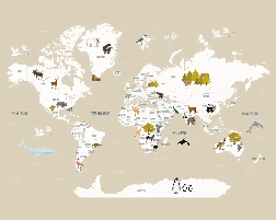 Beige French children's world map wallpaper