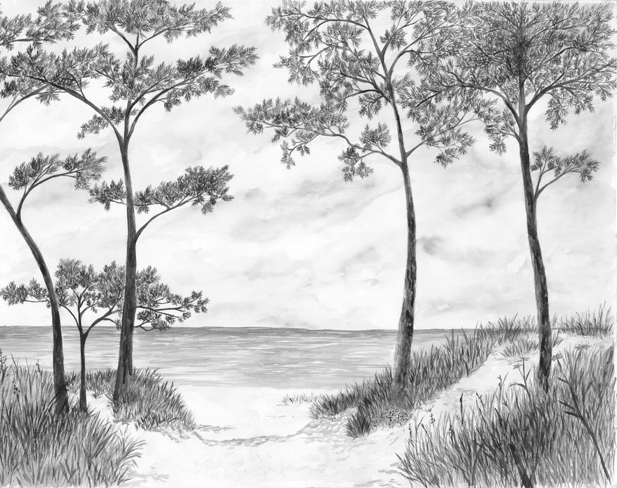 Papier peint Pins maritimes et dunes - Noir et blanc - Muralconcept