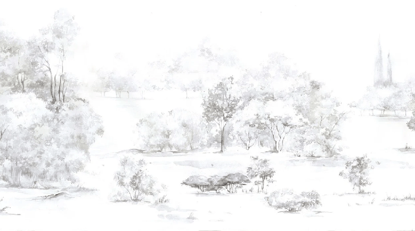 Papier peint forêt de pin aquarelle