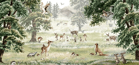 Papier peint enfant animaux et compagnie - Muralconcept