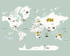 Papier peint Carte du monde en Francais enfant vert