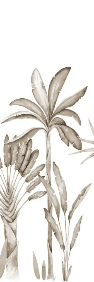 papier peint panoramique Palmier Sépia Aquarelle
