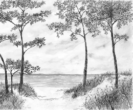 Seaside Pines and Dunes Wallpaper - Black and White