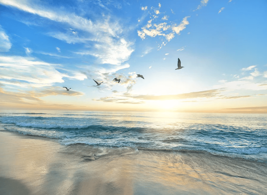 Paradise Beach Wallpaper