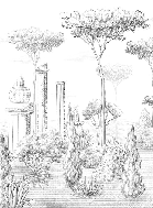 Roman pine forest style wallpaper