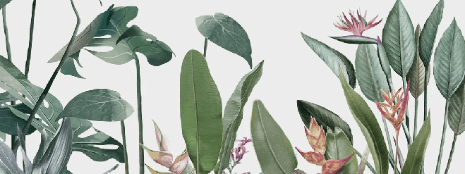 Tropical Plant Panoramic Wallpaper