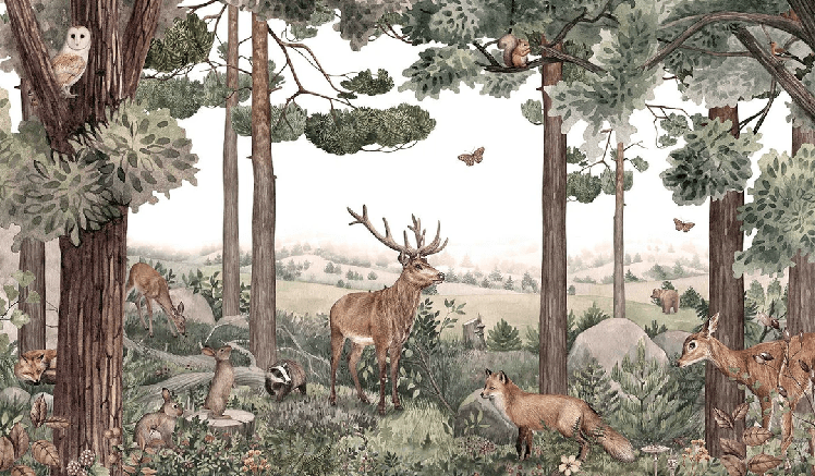 Baby wild trail wallpaper