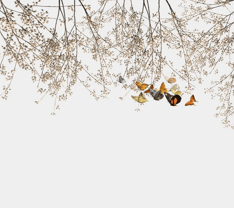 Living room wallpaper with branches and butterflies