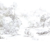 Papier peint forêt de pin aquarelle