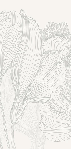 Gray and white panoramic wallpaper with floral pattern