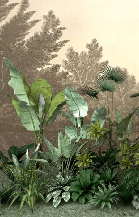 Indonesian Jungle Wallpaper